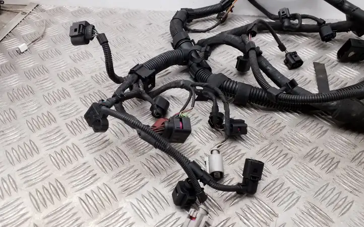 Audi TT TTS Mk2 (2006 - 2010) 8J0971072 Проводка двигателя — фото 5