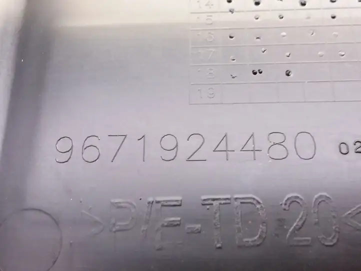 Peugeot 208 (2012 - 2015)  9671924480 Блок монтирования реле