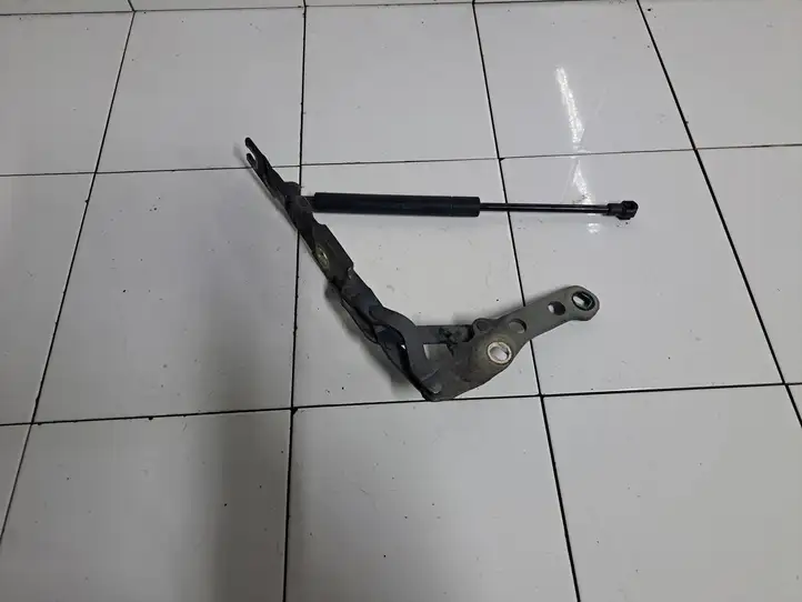 BMW 3 E46 (1998 - 2005) 8200123 Петли капота — фото 5