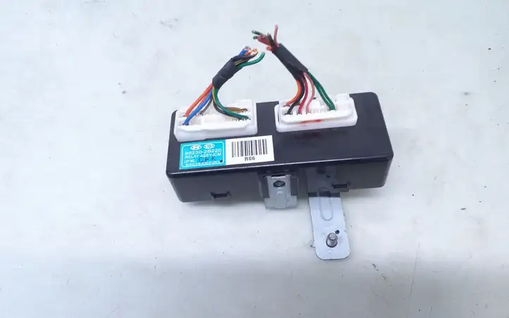 Hyundai Santa Fe (2005 - 2009)  952302B220 Другие блоки управления / модули