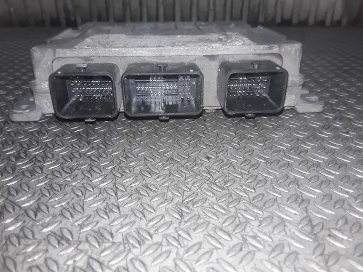 Peugeot 406 (1999 - 2006)  5WS40024FT Блок управления двигателя