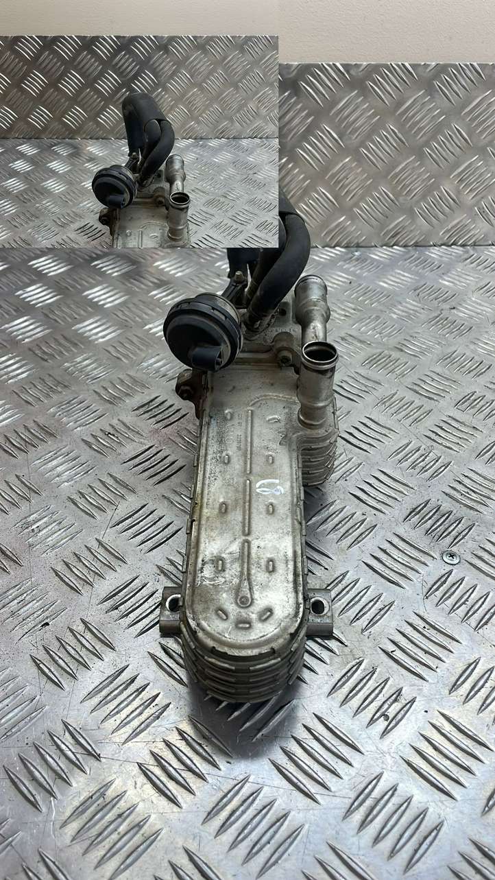 Volkswagen Jetta V (2005 - 2010)  03G131513 Охладитель EGR