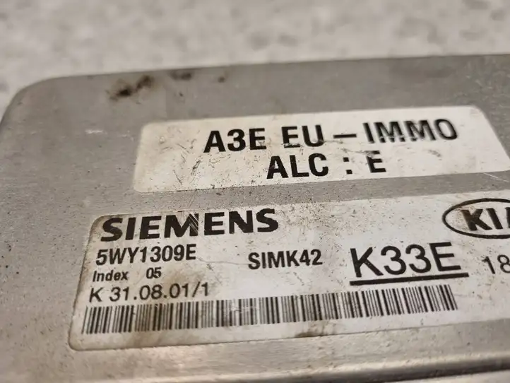 Hyundai Sonata (1998 - 2001) 5WY7309E Блок управления двигателем (ЭБУ) — фото 2