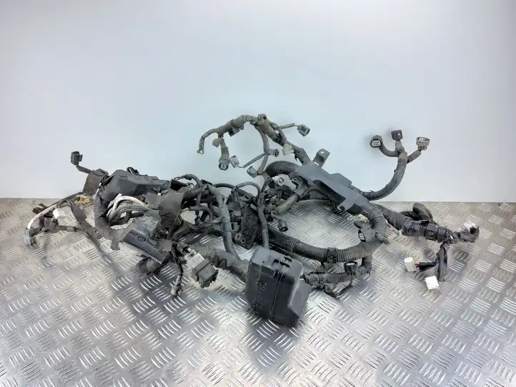 Toyota Corolla Verso AR10 (2004 - 2009) 821210F131 Проводка двигателя — фото 3