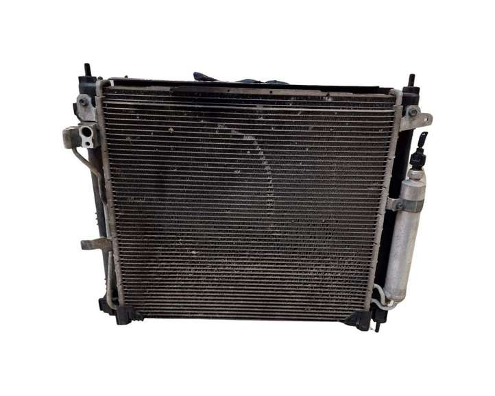 Nissan Juke I F15 (2010 - 2018)  21410BA626A Комплект радиаторов