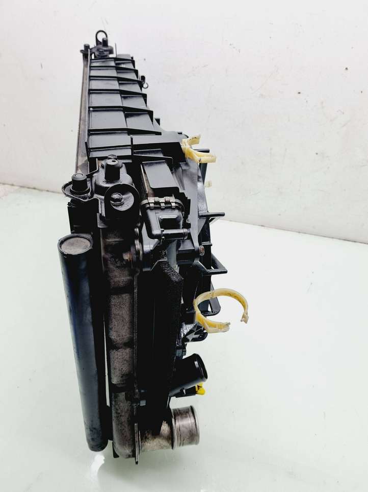 Toyota RAV 4 (XA30) (2006 - 2016)  4227501372 Комплект радиаторов