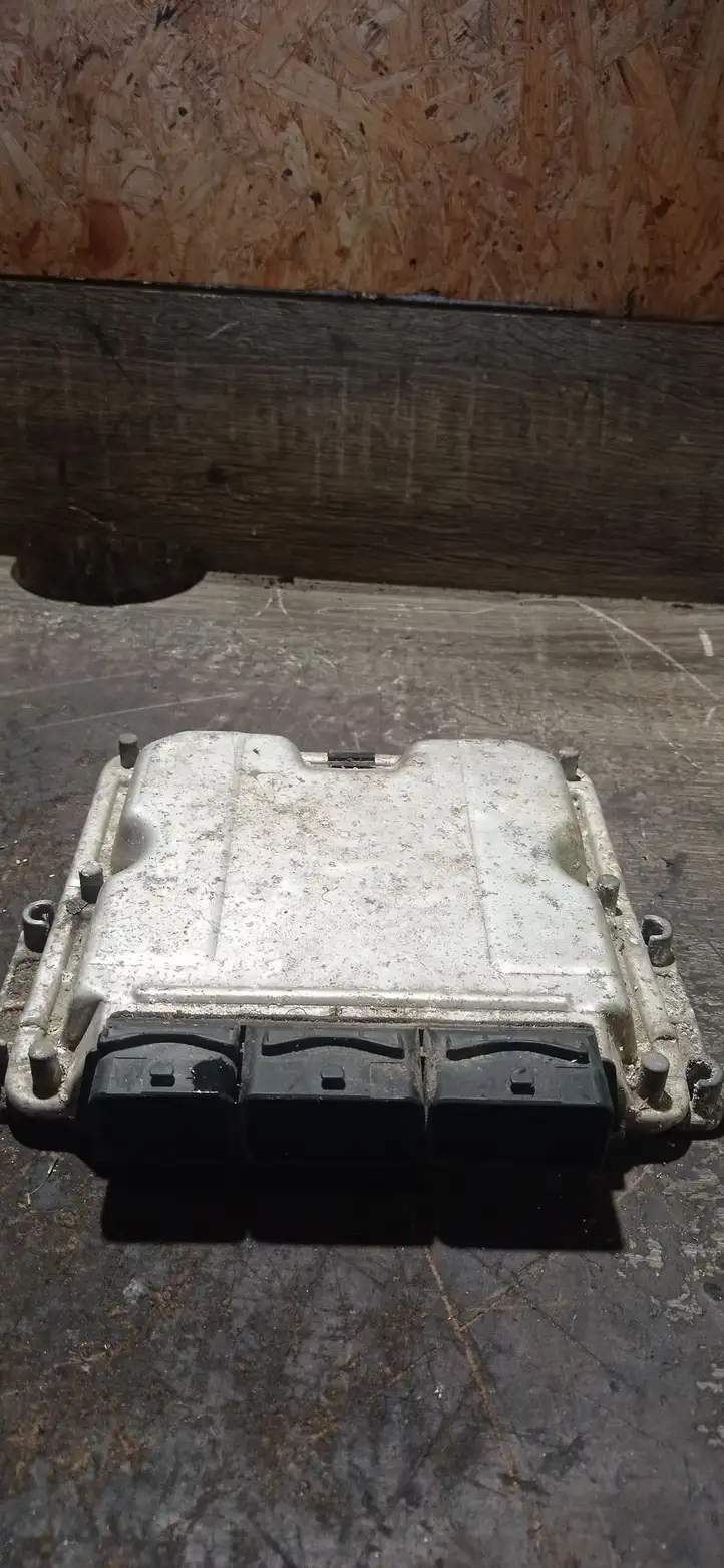 Renault Espace -  Grand espace IV (2004 - 2014)  0281011325 Блок управления двигателя