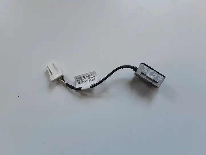 Peugeot 3008 II (2016 - 2023) 9812373180 Микрофон (Bluetooth / телефон) — фото 2