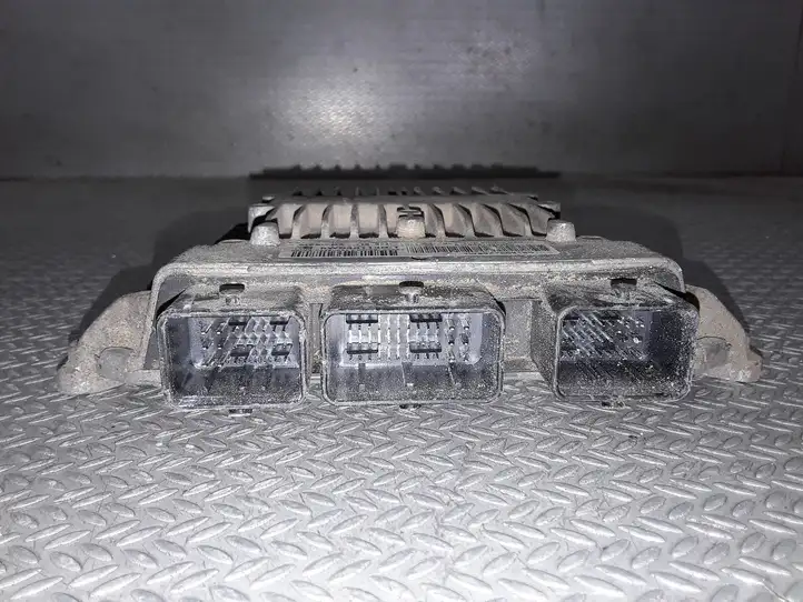 Citroen C2 (2003 - 2008)  5WS40113BT Блок управления двигателя