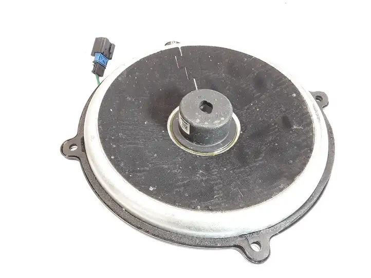 Renault Laguna (2007 - 2015)  281310003R Громкоговоритель низкой частоты