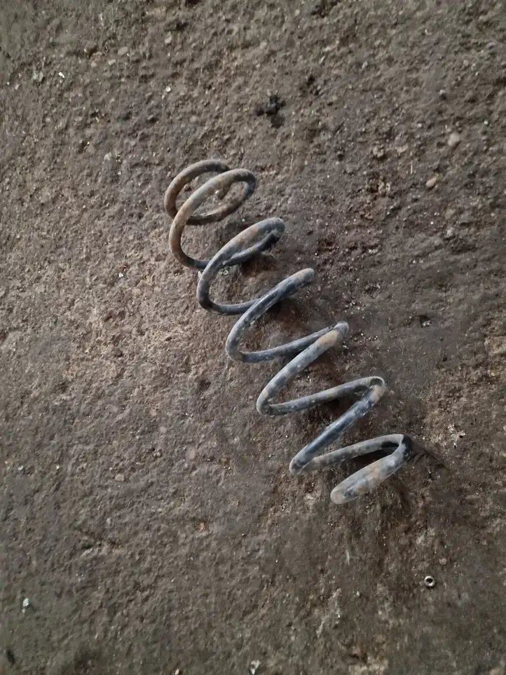 Seat Leon (1M) (1998 - 2006) Пружина задней подвески — фото 1
