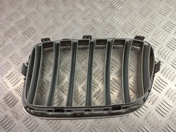 BMW X3 F25 (2010 - 2017) 7237422 Верхняя решетка радиатора — фото 6