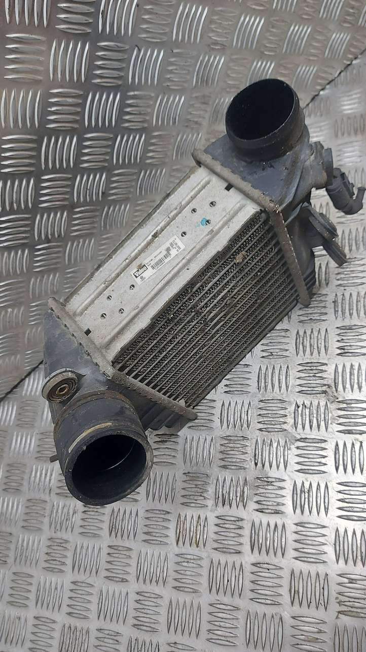 Volkswagen Golf IV (1998 - 2005)  1J0145803F Радиатор интеркулера