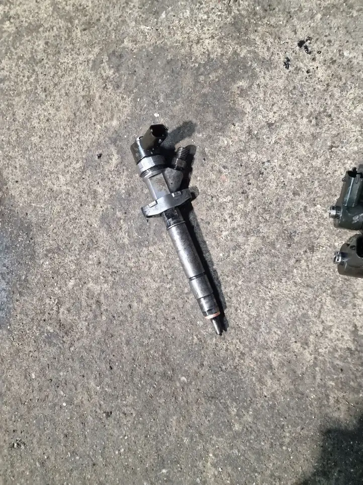 Renault Espace -  Grand espace IV (2004 - 2014)  0445110084 Жиклер (жиклеры) (форсунка (форсунки)