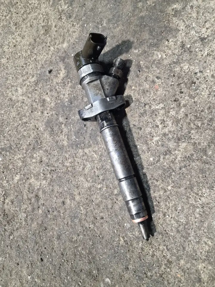 Renault Espace -  Grand espace IV (2004 - 2014)  0445110084 Жиклер (жиклеры) (форсунка (форсунки)