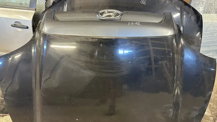 Hyundai Santa Fe (2000 - 2005) Капот — фото 4