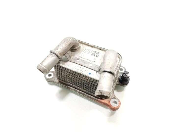 Dacia Sandero (2012 - 2016)  213052032R Охладитель EGR