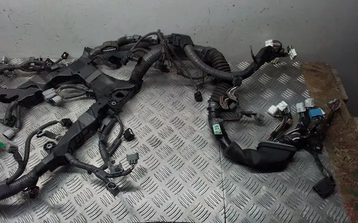 Lexus LS 460 - 600H (2006 - 2009) 821255080 Прочая электропроводка — фото 2