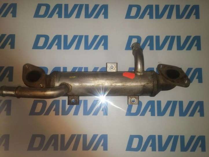 Volkswagen Sharan (2003 - 2010)  038131513P Охладитель EGR