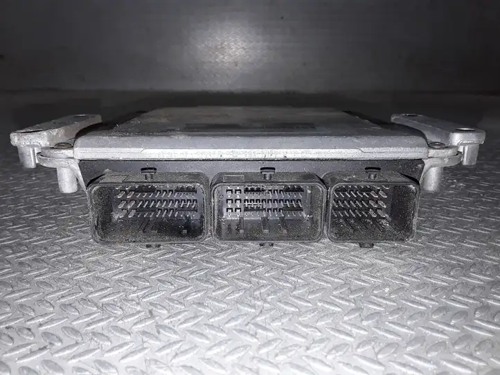 Renault Megane I (1995 - 2002)  0281010819 Блок управления двигателя