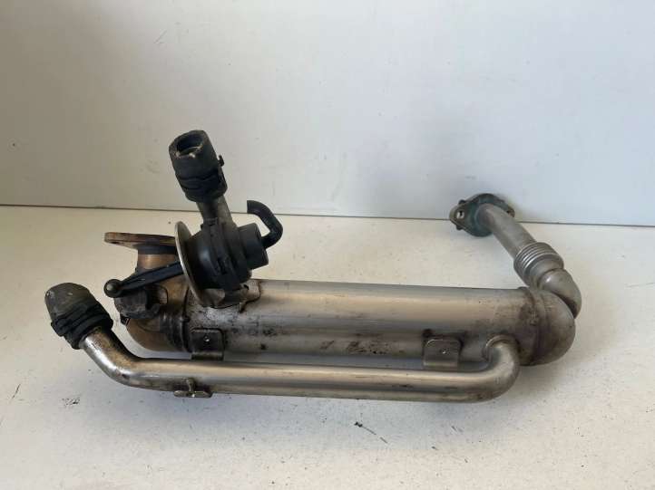 Volkswagen PASSAT B6 (2005 - 2010)  03G131512S Охладитель EGR