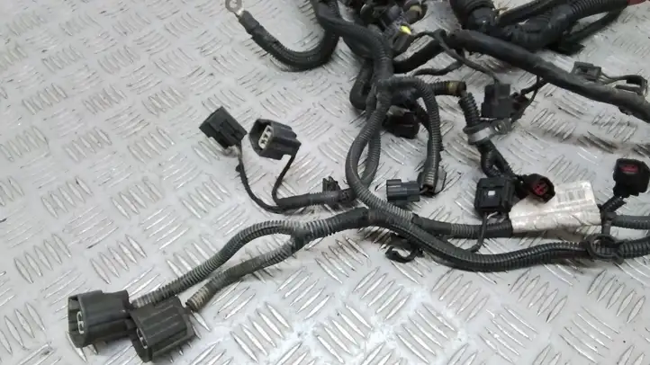 Volvo XC90 (2006 - 2014)  30782341 Проводка двигателя