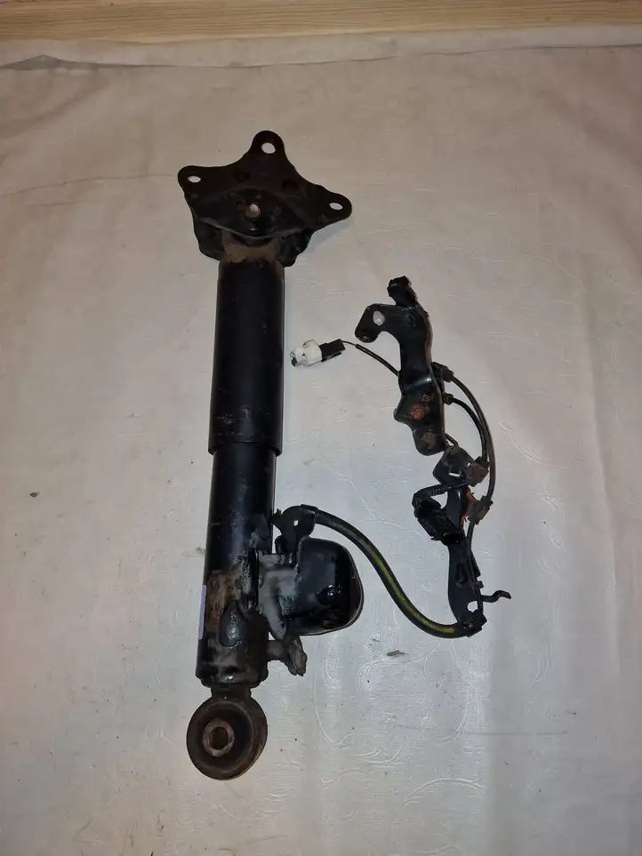 Lexus RX 450h (2015 - 2019)  4853048392 Задний амортизатор с пружиной