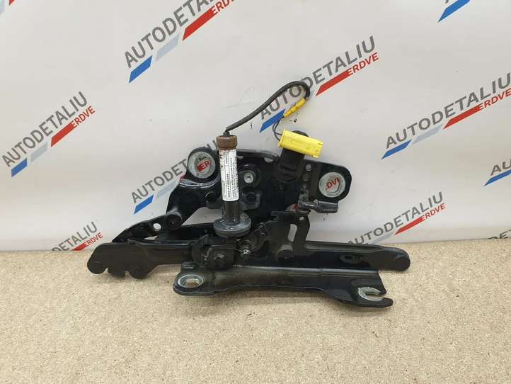 BMW 3 GT F34 (2013 - 2017)  7239416 Петля (петли) капота