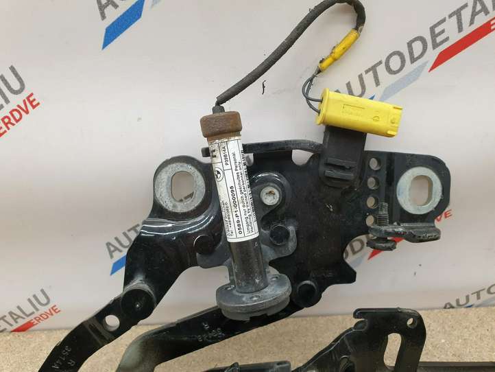 BMW 3 GT F34 (2013 - 2017)  7239416 Петля (петли) капота