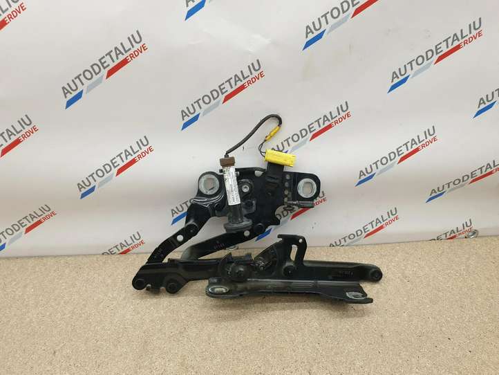 BMW 3 GT F34 (2013 - 2017)  7239416 Петля (петли) капота