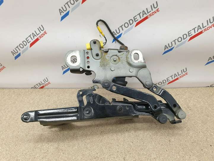 BMW 3 GT F34 (2013 - 2017)  7239416 Петля (петли) капота