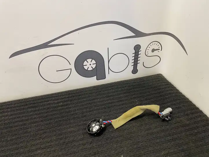 Land Rover Range Rover Sport (2009 - 2013)  BJ3218808AC Громкоговоритель (громкоговорители) высокой частоты в передних дверях