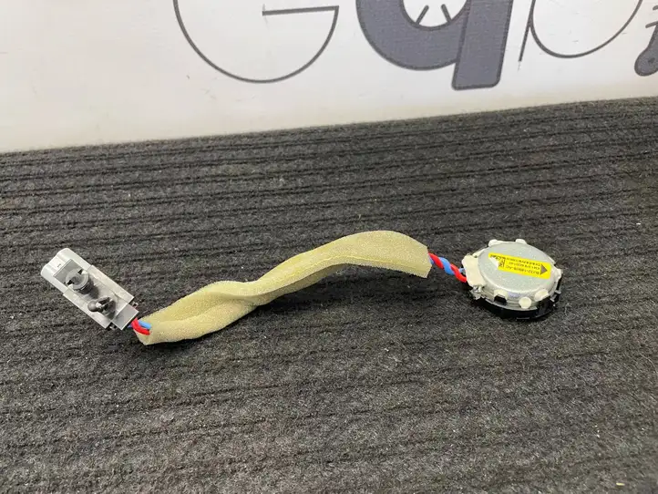 Land Rover Range Rover Sport (2009 - 2013)  BJ3218808AC Громкоговоритель (громкоговорители) высокой частоты в передних дверях