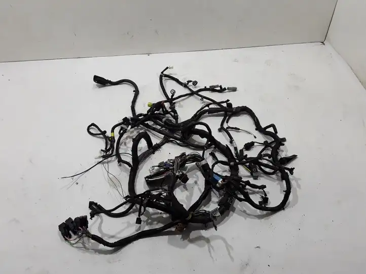 Nissan Qashqai (2013 - 2017) 240124EG4E Прочая электропроводка — фото 1