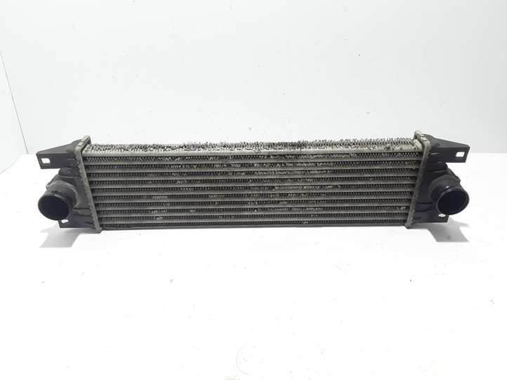 Renault Mascott (1990 - 2010)  5010382814 Радиатор интеркулера