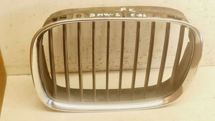 8159313 BMW 5 E39 Grotelės priekinės