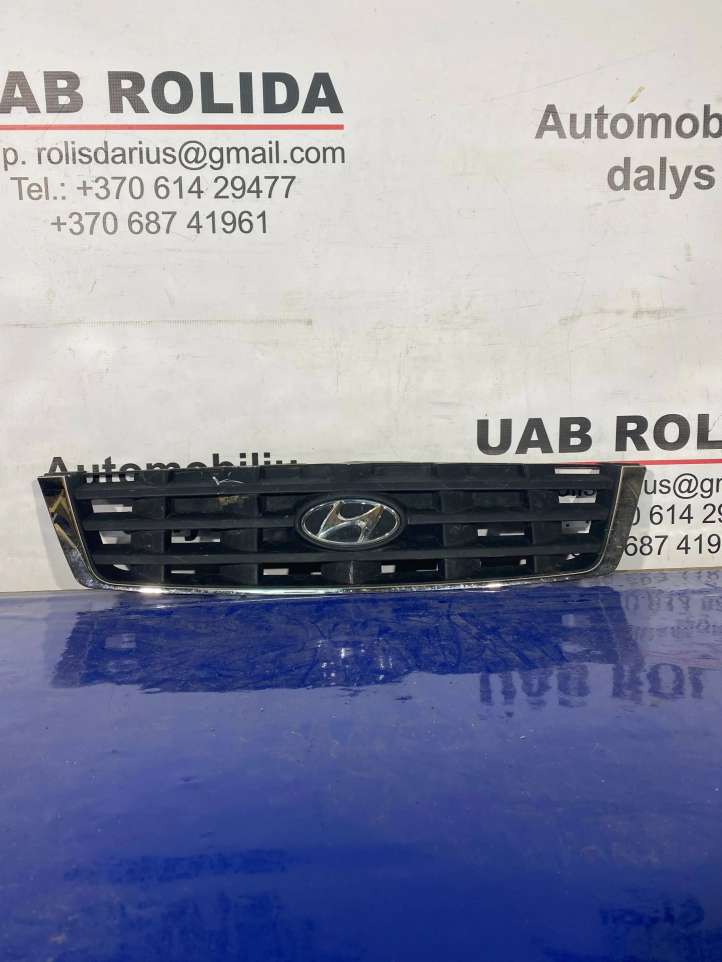 Hyundai Accent (2003 - 2006)  8636125620 Верхняя решётка