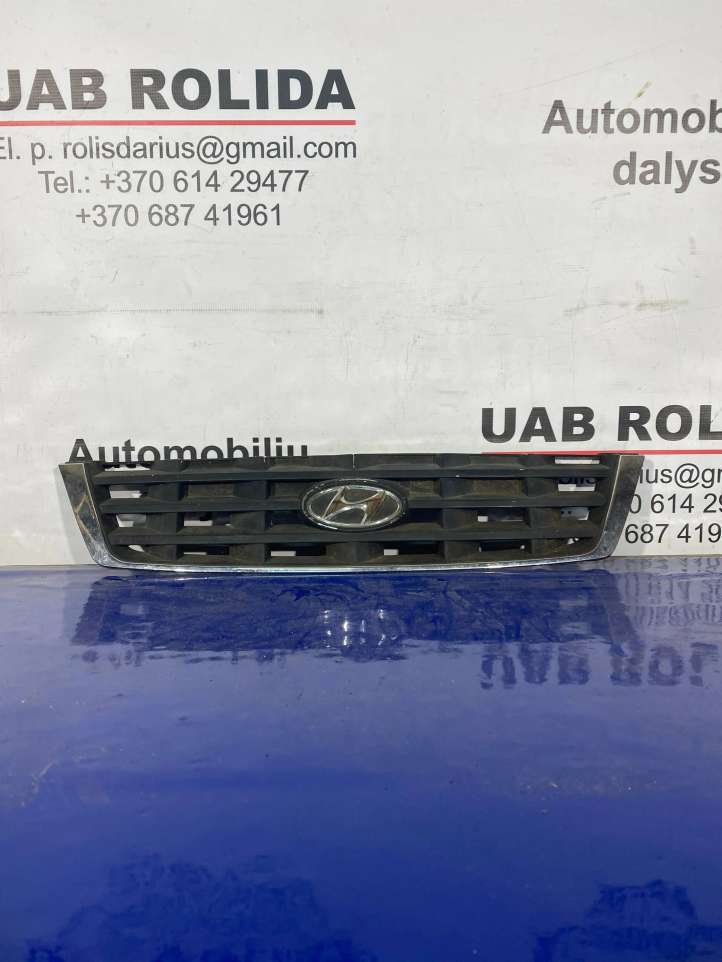 Hyundai Accent (2003 - 2006)  8636125620 Верхняя решётка