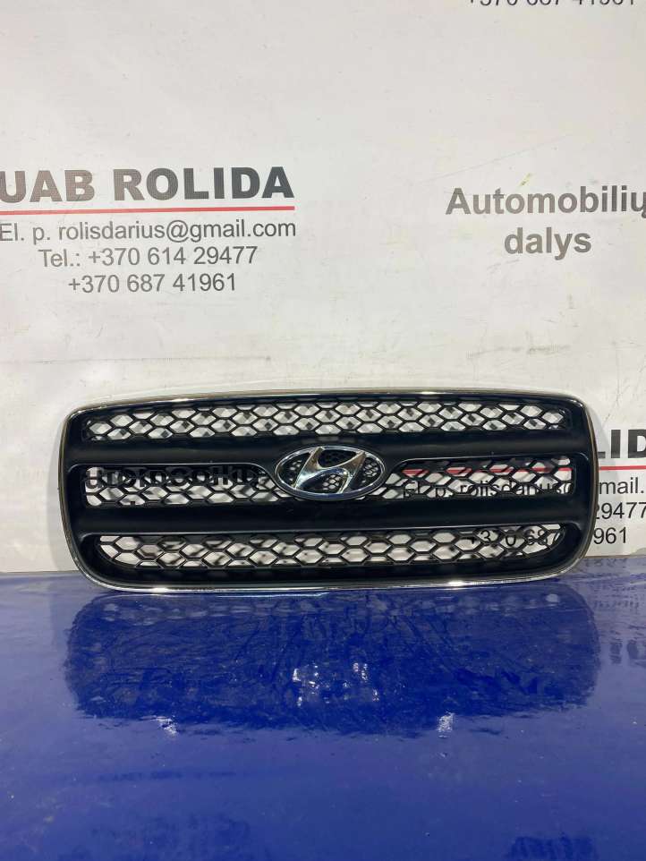 Hyundai Santa Fe (2005 - 2009)  E865612B010 Верхняя решётка