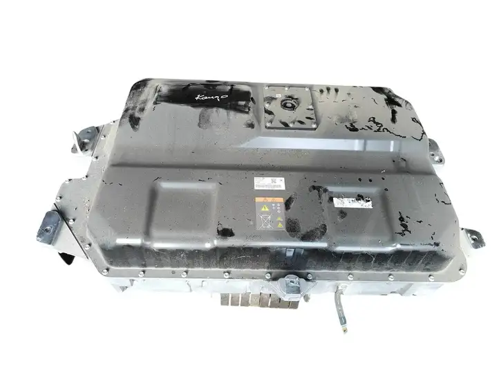 Renault Kangoo II (2014 - 2021) 295109788R Аккумулятор гибридного / электрического автомобиля — фото 5
