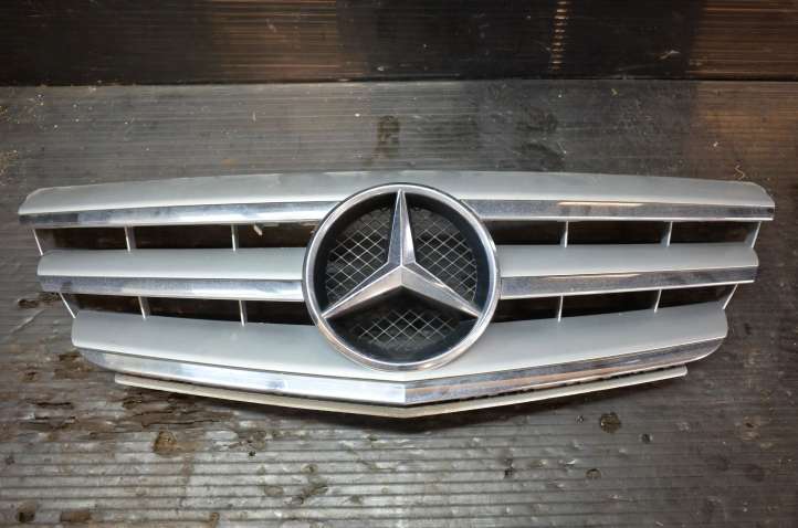 Mercedes-Benz B-class W245 (2005 - 2008)  A1698881660 Верхняя решётка