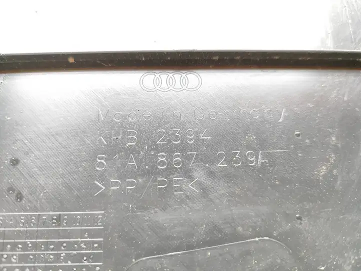 Audi Q2 - (2016 - ) 81A867239A Нижняя обшивка стойки B — фото 3