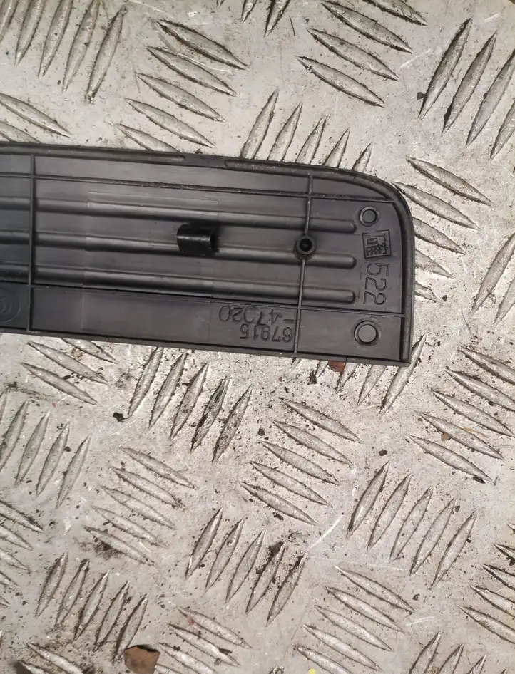 Toyota Prius (XW20) (2003 - 2009) Внутренняя отделка заднего порога — фото 2