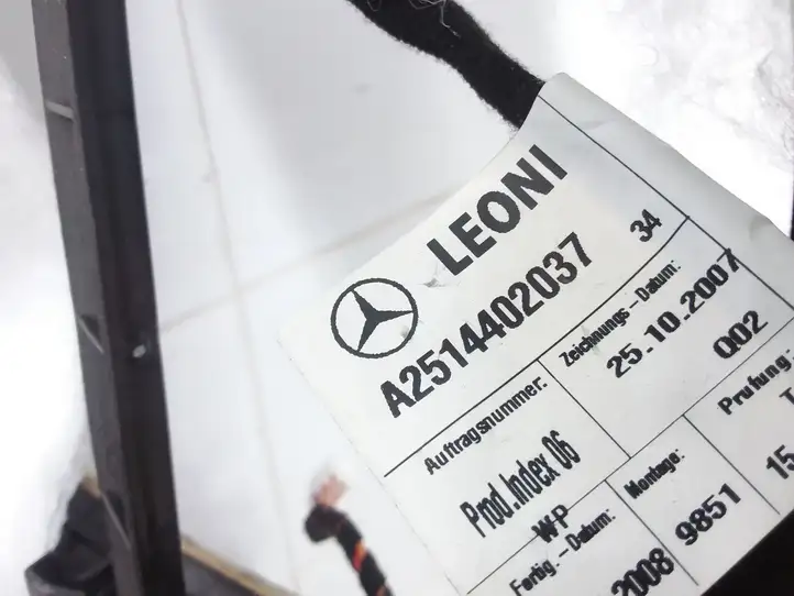 Mercedes-Benz R W251 (2005 - 2013) A2514402037 Потолочная обшивка — фото 3