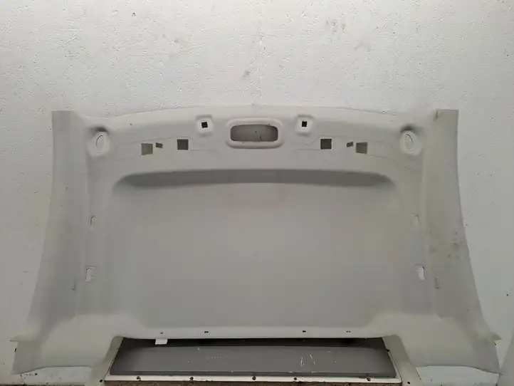 Ford Transit - Tourneo Connect (2009 - 2017) DT11V52044 Потолочная обшивка — фото 1