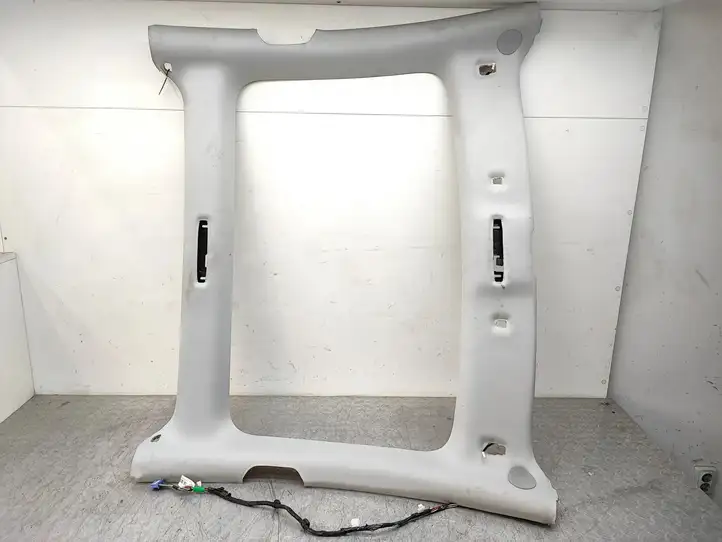 Tesla Model 3 (2017 - 2023) 110106601F Потолочная обшивка — фото 1