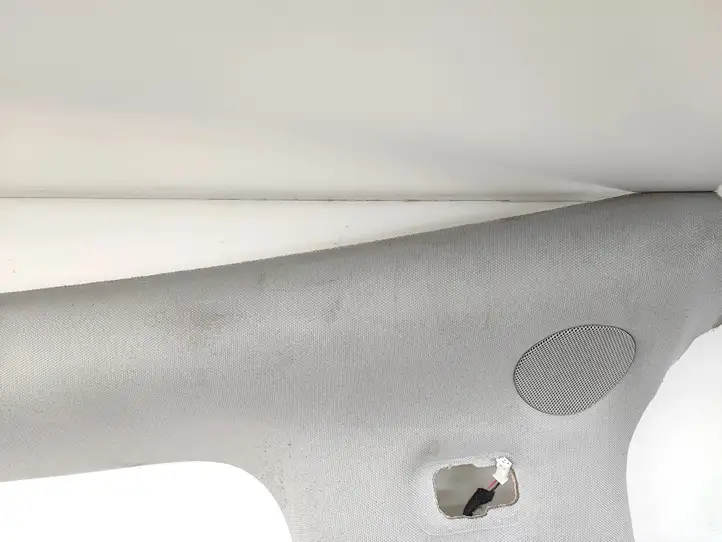 Tesla Model 3 (2017 - 2023) 110106601F Потолочная обшивка — фото 3
