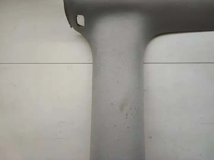 Tesla Model 3 (2017 - 2023) 110106601F Потолочная обшивка — фото 10