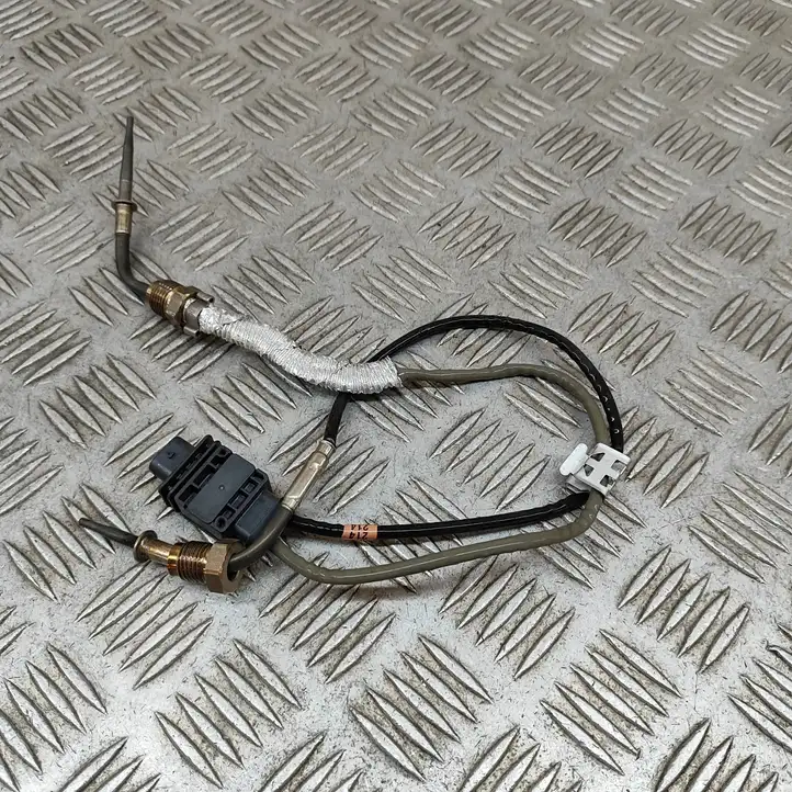 Volkswagen T-Roc (2017 - )  05E919519J Измеритель температуры масла