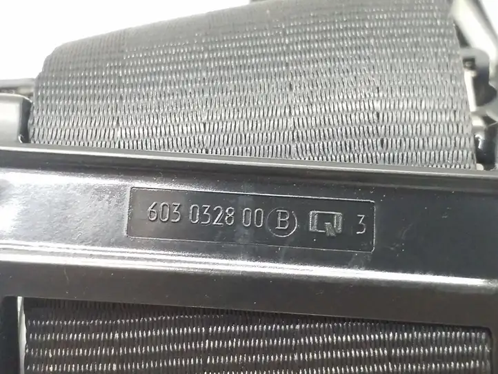 Seat Exeo (3R) (2008 - 2013) 3R0857805RAA Задний ремень безопасности — фото 6